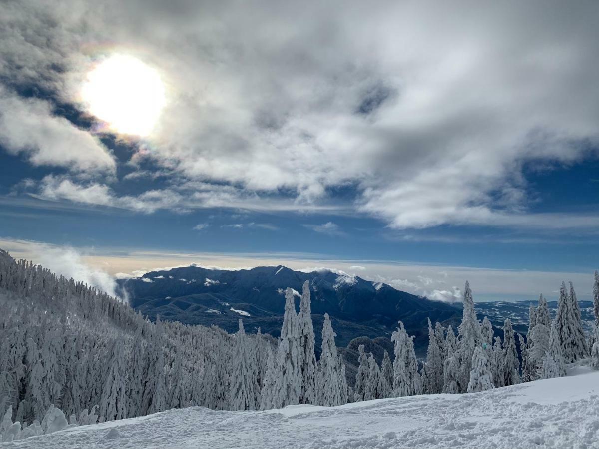 Silver Mountain Poiana Brasov Bagian luar foto
