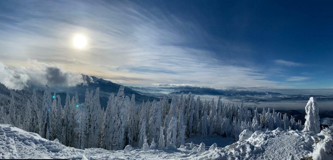 Silver Mountain Poiana Brasov Bagian luar foto
